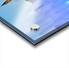 Hagia Sophia Grand Mosque at dusk with fountain display Acrylic print