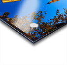 Suleymaniye Mosque at night in Istanbul Turkey Acrylic print