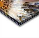 Inside Basílica de la Sagrada Família Barcelona Acrylic print