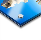 Rooftop views of Casa Mila in sunny Barcelona Acrylic print