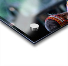 Kids enjoying life in Kalash village Bumburet Valley Acrylic print