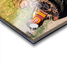 Life in kalash village of bumburet valley with a child Acrylic print