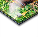 Life in kalash village of bumburet valley in pakistan Acrylic print