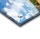 Morning Glory Pool shows colors at Yellowstone National Park Acrylic print