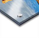 Visiting queens garden in bryce canyon national park Impression Acrylique