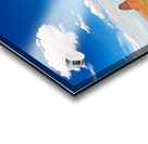 Exploring monument valley in the united states national park Acrylic print