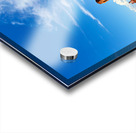 Monument Valley displays flags under blue sky in USA Acrylic print