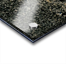 Crosses mark a cemetery in Longyearbyen Svalbard Archipelago Acrylic print