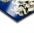 Visitors enjoy Piazza dei Miracoli with the Leaning Tower Impression Acrylique