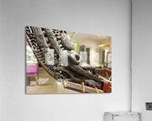 Auckland. New Zealand. Auckland War Memorial Museum. Maori Natural History Gallery Acrylic Print