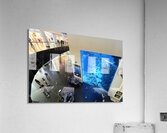 Dubai. UAE. Aquarium and underwater zoo Acrylic Print