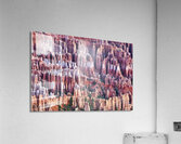 Sunrise at Bryce Point lookout in the Bryce Canyon National Park. Utah USA Acrylic Print