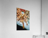 Barcelona. Catalonia. Spain. The Mercat de Sant Josep de la Boqueria. Tiger Prawns at fishmonger stall Acrylic Print