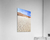 Namibia. Deadvlei clay pan. Namib Naukluft National Park. A dried out dead camel thorn Vachellia erioloba Acrylic Print