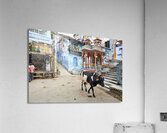 India Rajasthan Bundi. Decorated painted house Acrylic Print