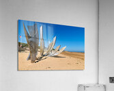 Omaha Beach. Normandy France Acrylic Print