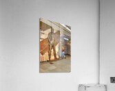 St. Petersburg Russia. The entrance of Mayakovskaya metro station Acrylic Print