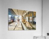 Athens Greece. The Acropolis Museum Acrylic Print