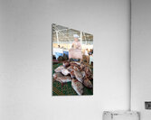 Oman. Muscat. The Fish Market Acrylic Print