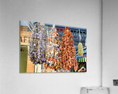 Istanbul Turkey. The Fatih Mosque Acrylic Print