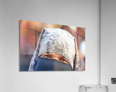 Morocco Marrakesh. Portrait of a veiled moroccan woman Acrylic Print