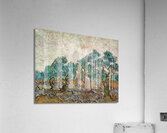 Vincent Van Gogh - The Olive Orchard - 1889 Acrylic Print