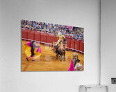 ANDALUSIA SPAIN. Bullfight in Seville Arena Acrylic Print