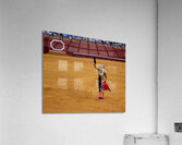 ANDALUSIA SPAIN. Bullfight in Seville Arena Acrylic Print