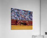ANDALUSIA SPAIN. Bullfight in Seville Arena Acrylic Print
