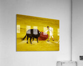 ANDALUSIA SPAIN. Bullfight in Seville Arena Acrylic Print