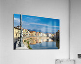 Pisa Tuscany Italy. The Arno river Acrylic Print