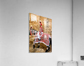 Apulia Puglia Italy. Ostuni. Festival of Saint Orontius. The cavalcata a procession of horses in the streets of the town Acrylic Print