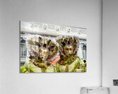 Venice Italy. The Carnival Acrylic Print