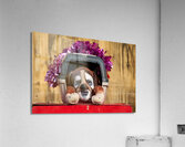 Venice Italy. The Carnival Acrylic Print