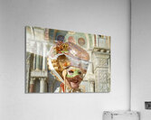 Venice Italy. The Carnival Acrylic Print