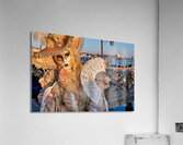 Venice Italy. The Carnival Acrylic Print
