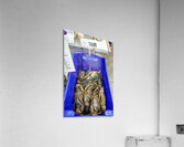 Large Mud Crabs for sale at $76.99 per kg. Acrylic Print