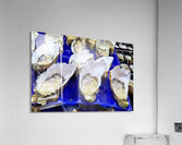 Freshly shucked oysters on blue plastic trays. Acrylic Print
