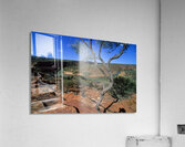 A gnarled tree overlooks a river in a vast canyon. Acrylic Print