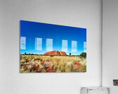 Uluru Australias iconic sandstone monolith under a clear blue Acrylic Print