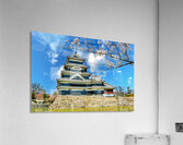 Matsumoto Castle during cherry blossom season in Japan Acrylic Print