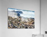 Cape fur seals resting on Skeleton Coast in Namibia near Cape Cr Acrylic Print