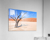 Dry camel thorn tree in Deadvlei clay pan of Namibia Acrylic Print