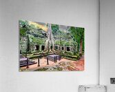 Ancient temple ruins overgrown by massive tree roots and moss. Acrylic Print