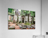 Ancient temple ruins overgrown by massive tree roots and moss. Acrylic Print