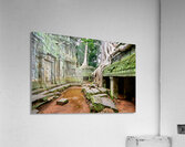Ancient temple ruins consumed by giant tree roots and jungle. Acrylic Print
