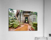 Ancient temple ruins overgrown by trees and moss. Acrylic Print