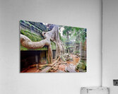 Massive tree roots engulfing ancient moss covered temple ruins. Acrylic Print