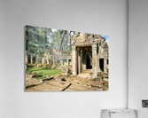 Ancient temple ruins overgrown by massive tree roots. Acrylic Print