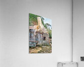 Tree roots engulf ancient temple ruins. Acrylic Print